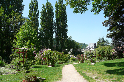 environnement1